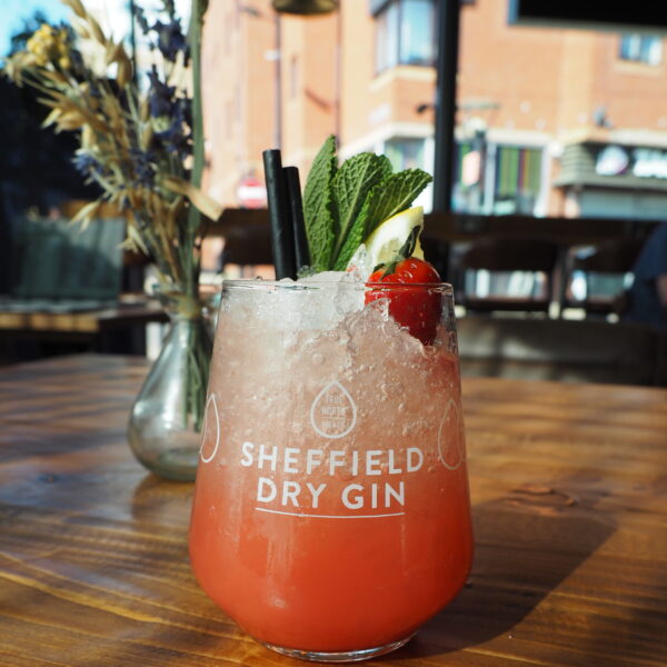 2-4-£13 cocktails Forum Sheffield City centre bar summer drinks True North Gin